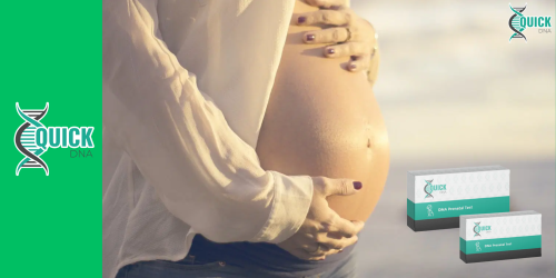 Can a prenatal paternity test be performed during pregnancy?