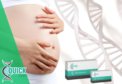 How to conduct a prenatal paternity test?